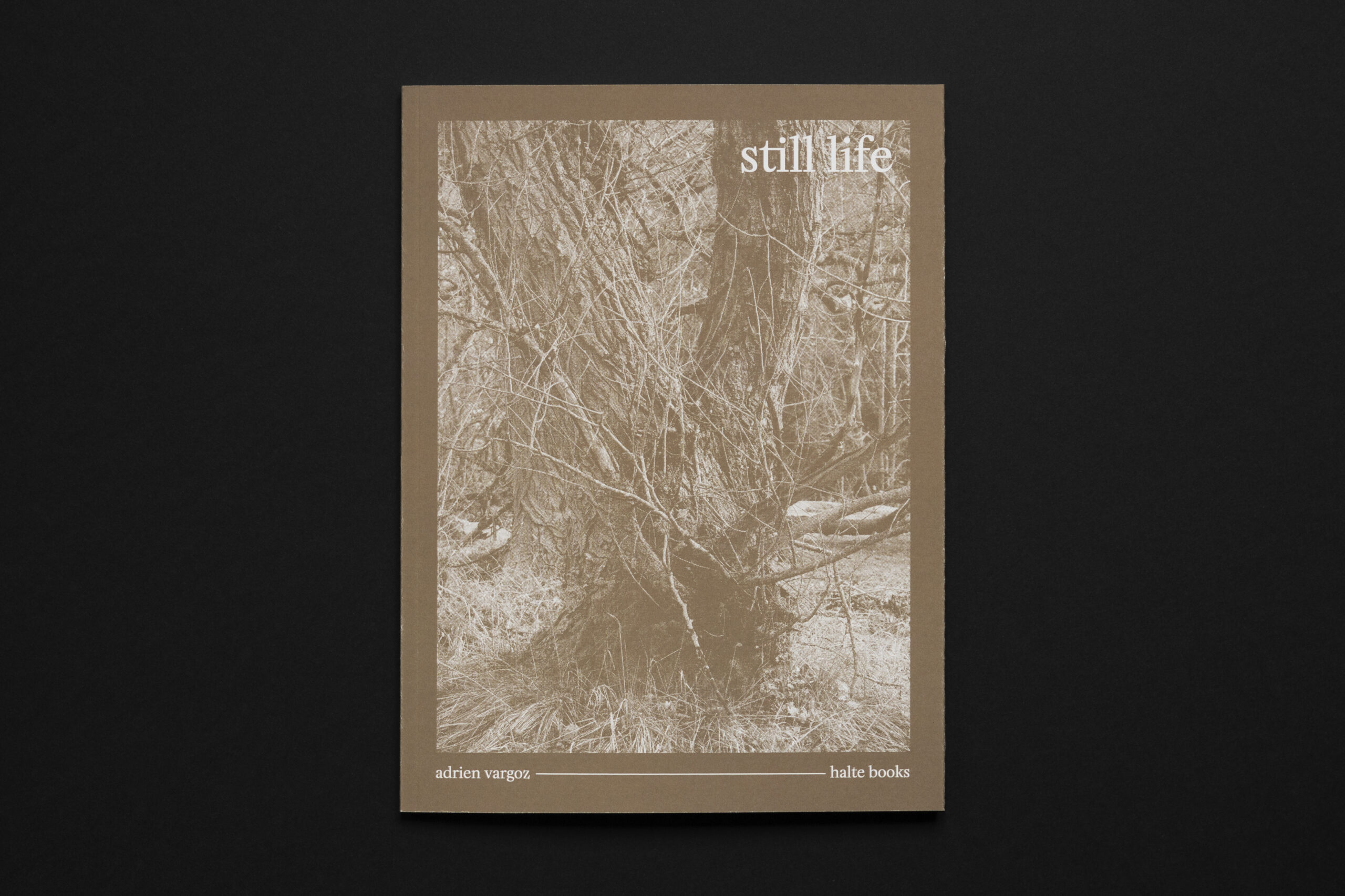 Still life, un livre d’Adrien Vargoz