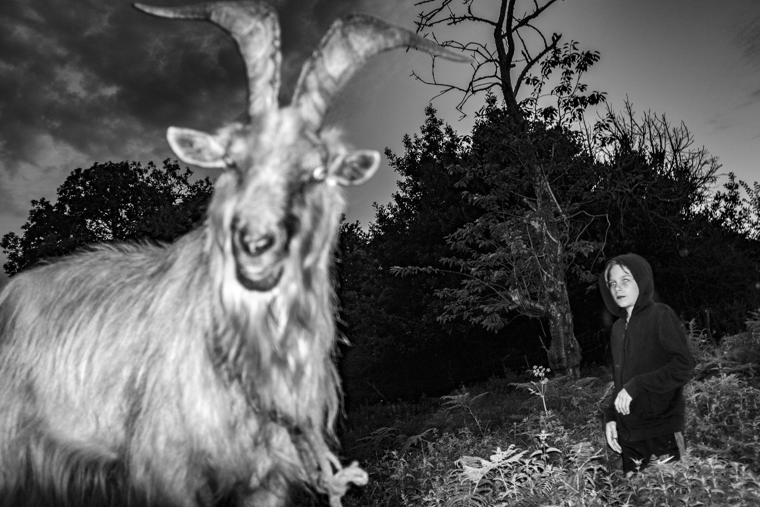 « Zones grises » : un fanzine de Vanda Spengler