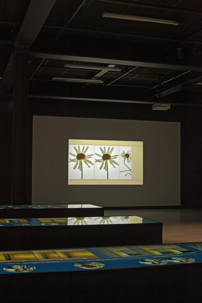 Suzanne Lafont au CCCOD à Tours, comment mieux nommer le monde